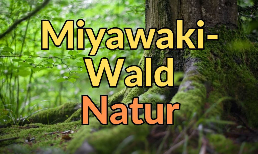Miyawaki Wald Umweltschutz